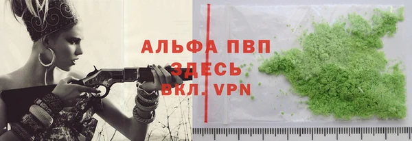 гашик Карпинск