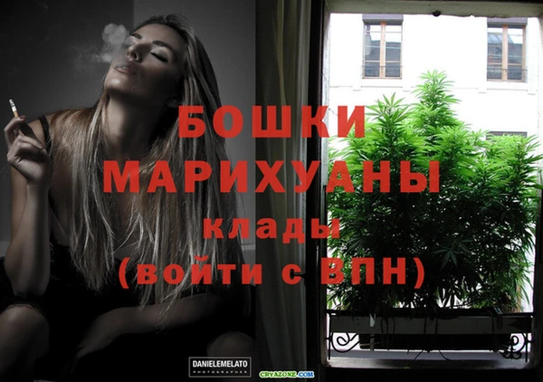 гашик Карпинск