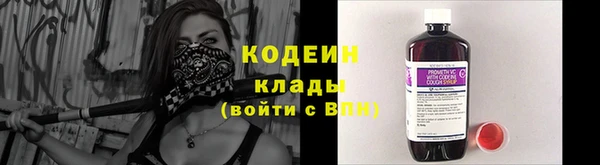 гашик Карпинск