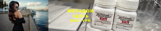 прущие грибы Кинешма