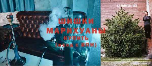 гашик Карпинск