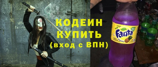 гашик Карпинск