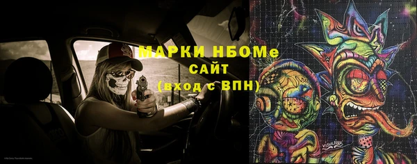 гашик Карпинск