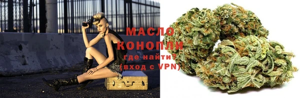 гашик Карпинск