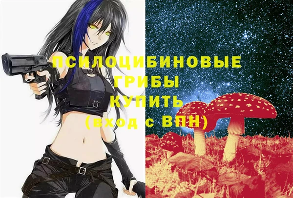 гашик Карпинск